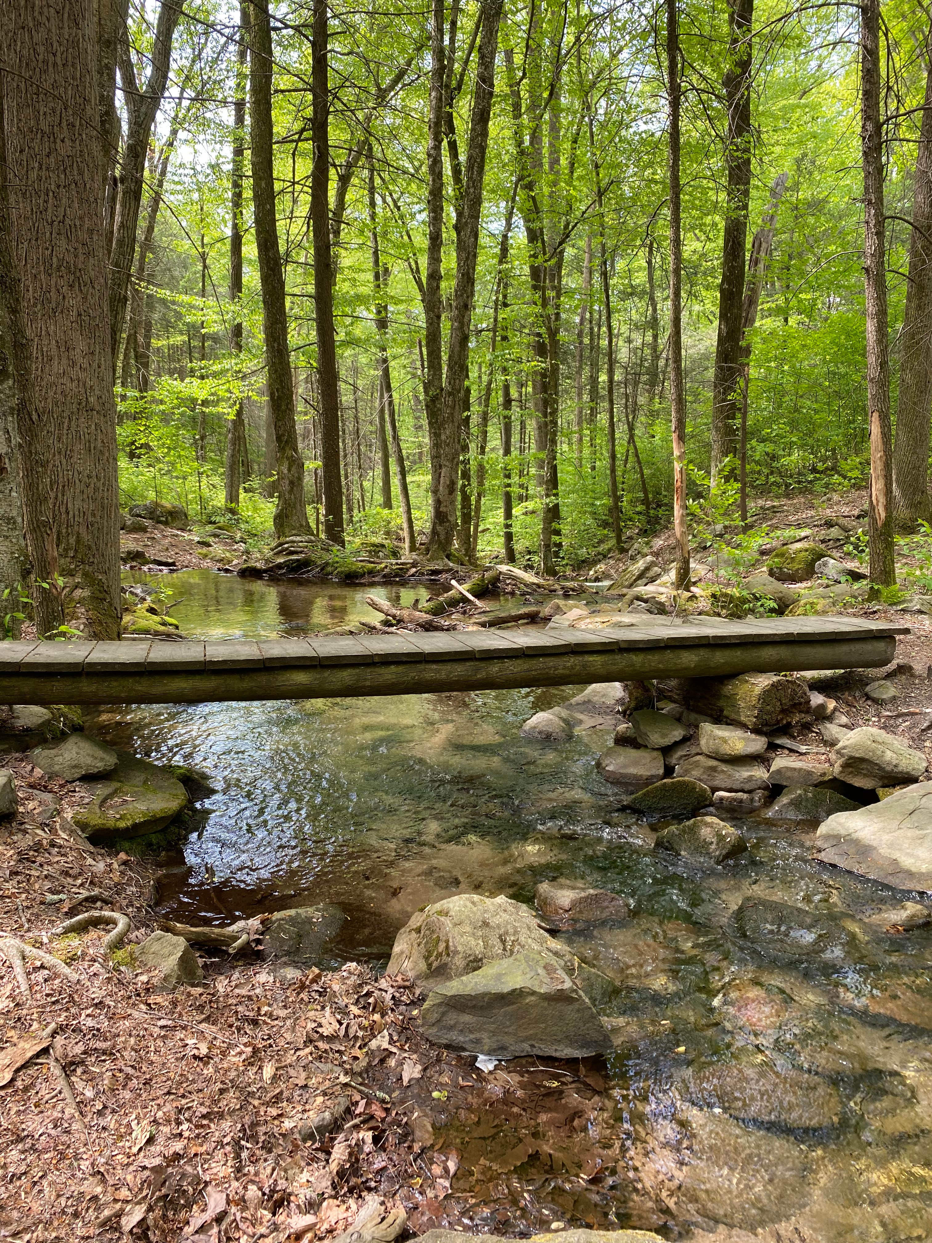 Camper-submitted photo at South Michaux State Forest Campsites near Fayetteville, PA