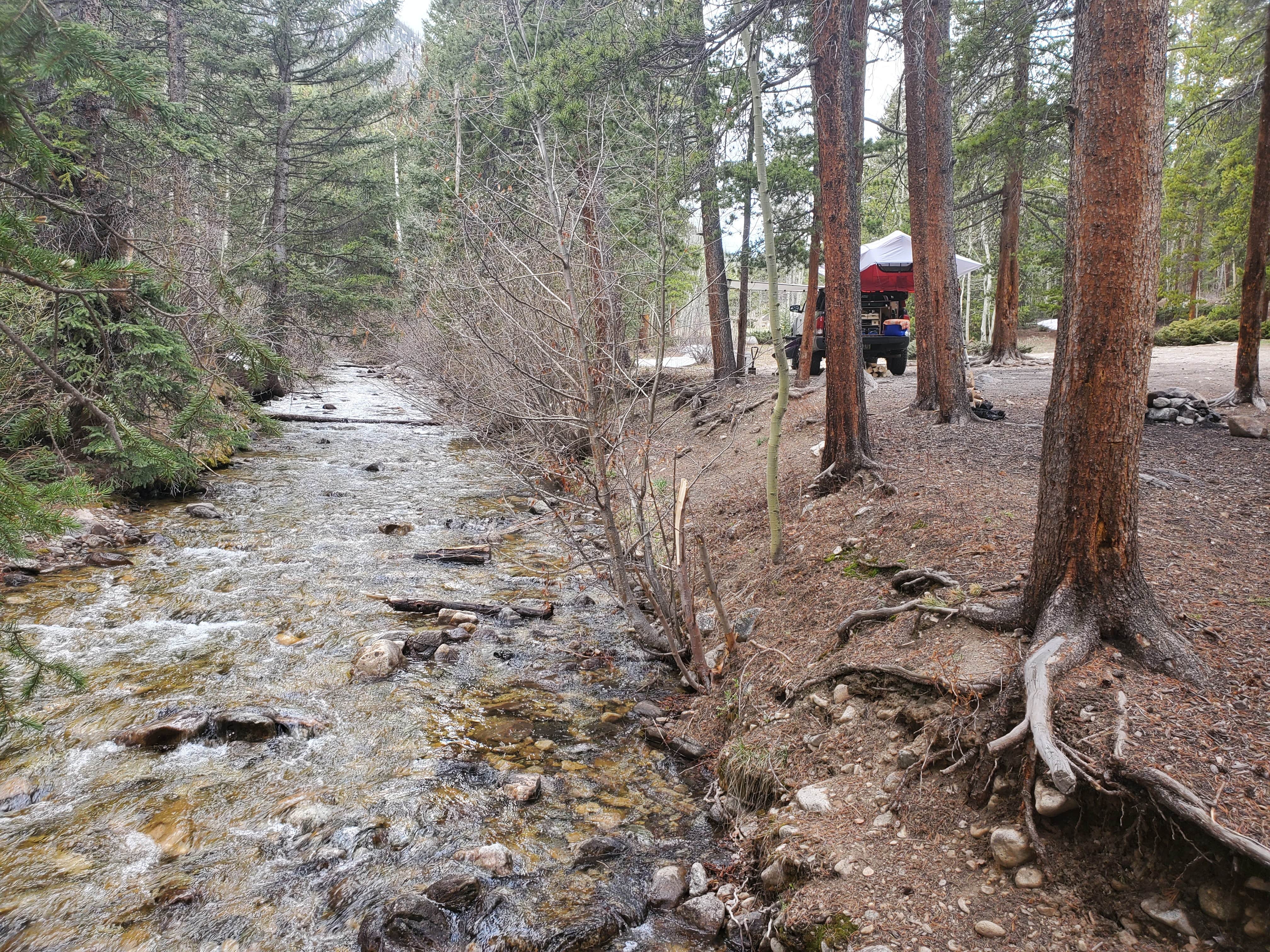 North Cottonwood Trailhead Dispersed Camping The Dyrt