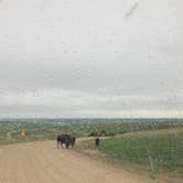 Review photo of Sage Creek Campground by Onyx  C., May 25, 2021