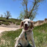 Review photo of Sage Creek Campground by Onyx  C., May 25, 2021