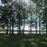 Review photo of Fins and Feathers Campground by GoWhereYouAreDraw N., May 25, 2021