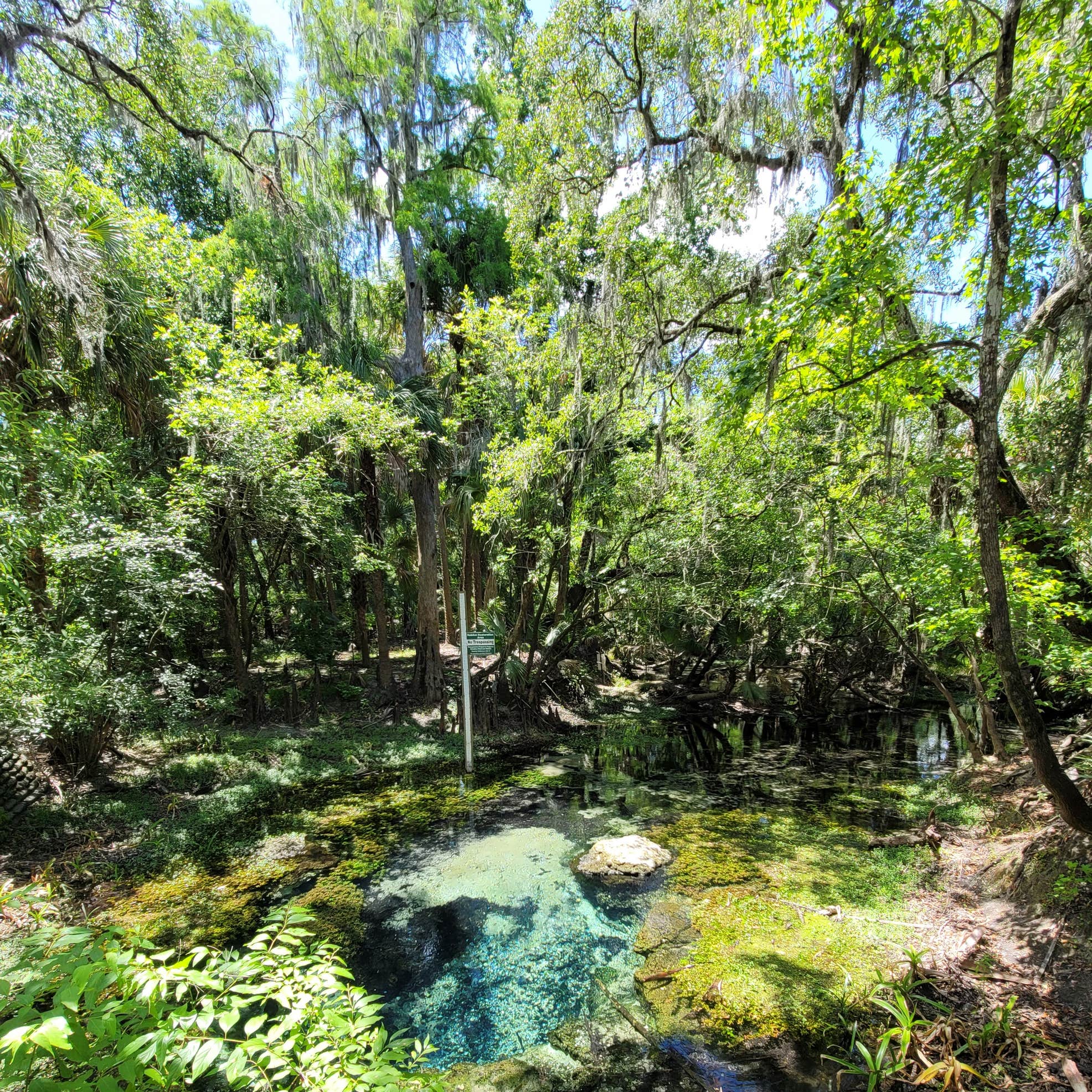 Lithia Springs Conservation Park Camping The Dyrt