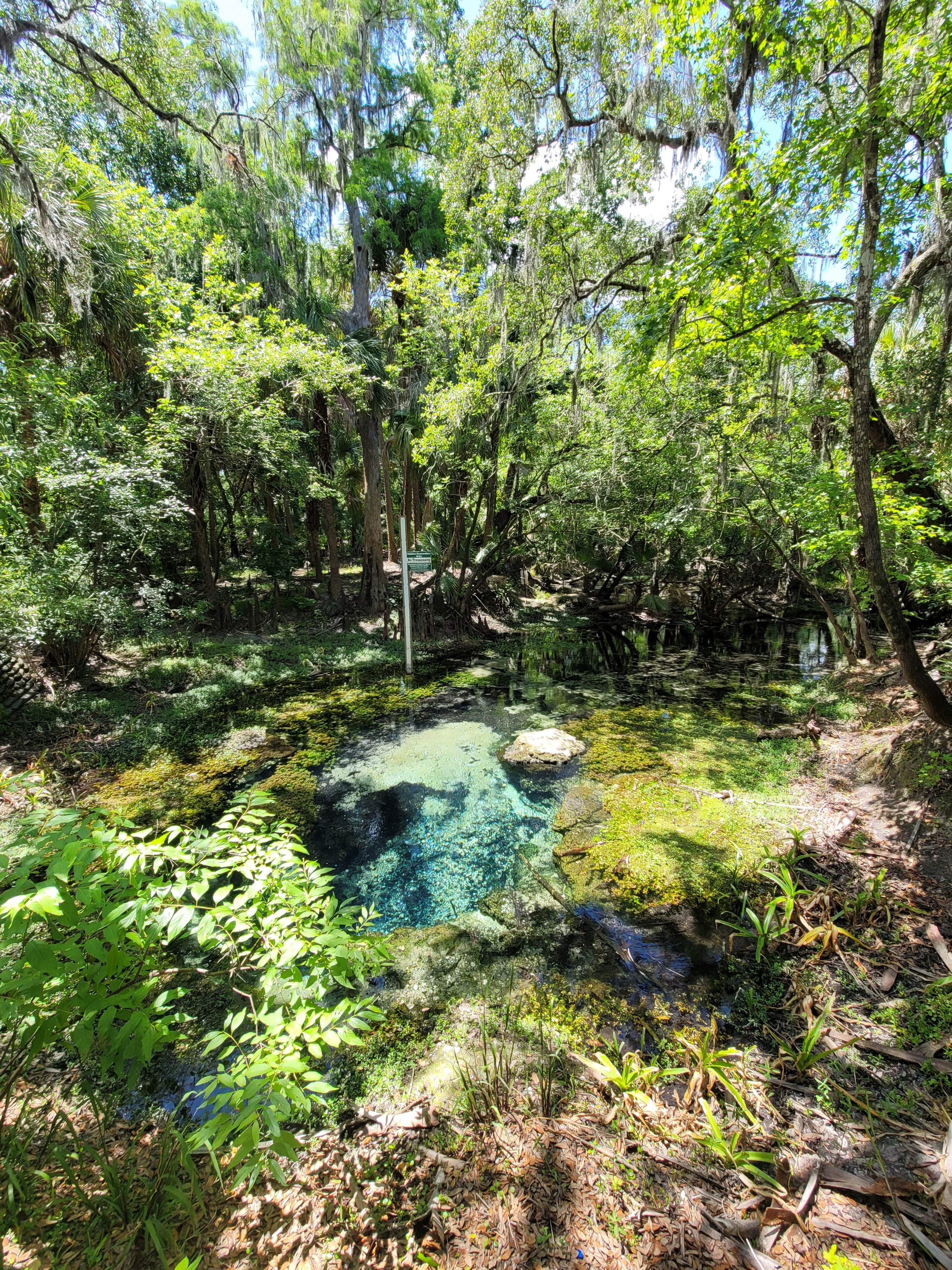 Camper submitted image from Lithia Springs Conservation Park - 3