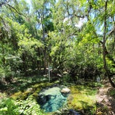 Review photo of Lithia Springs Conservation Park by Mina  G., May 25, 2021