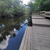 Review photo of Lithia Springs Conservation Park by Mina  G., May 25, 2021