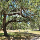 Review photo of Lithia Springs Conservation Park by Mina  G., May 25, 2021