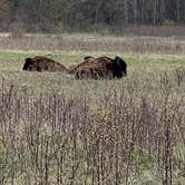 Review photo of Sakatah Lake State Park Campground by Tracy O., May 25, 2021