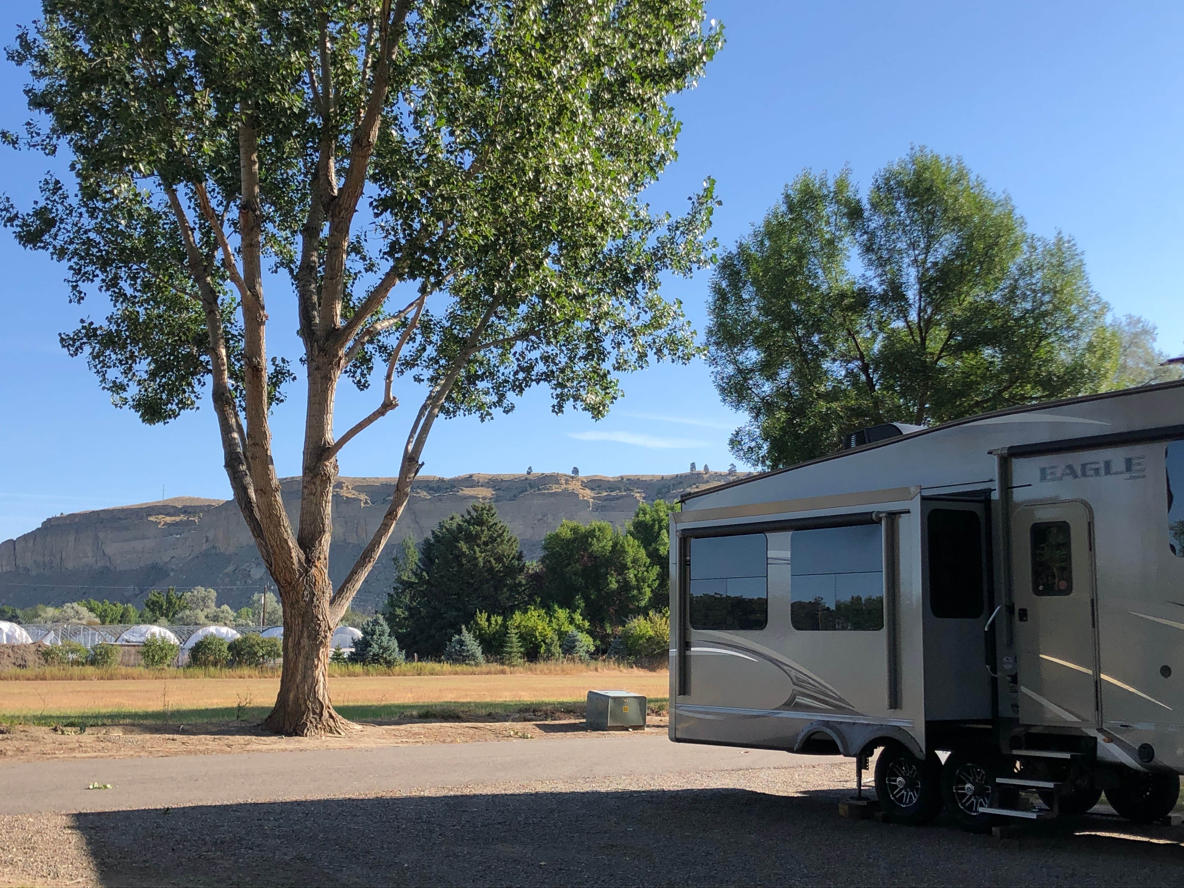 Yellowstone River RV Park & Campground | Billings, MT