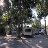 Review photo of Yellowstone River RV Park & Campground by Tracy O., May 25, 2021