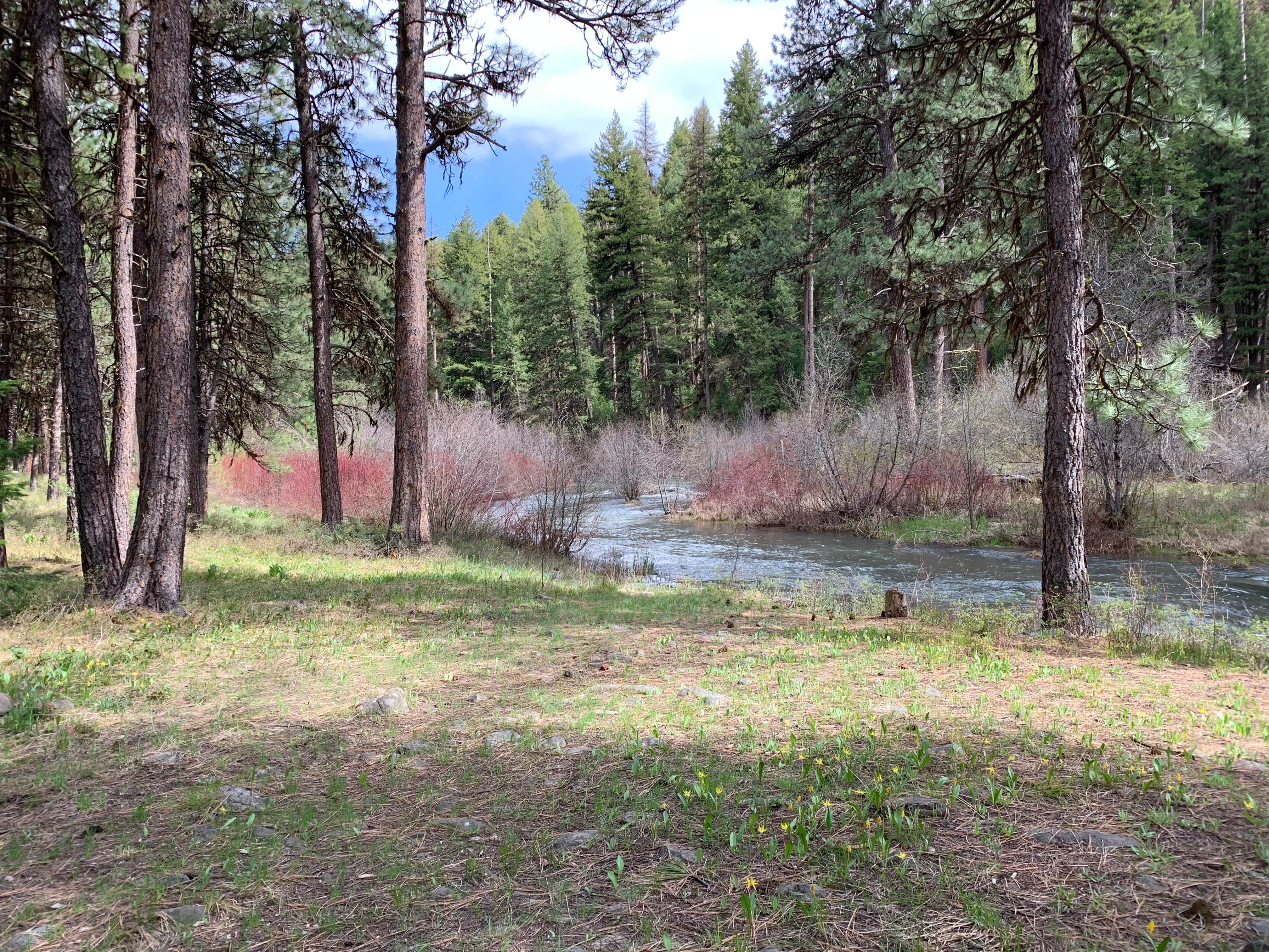 Camping near Congo Gulch: Middle Fork, Prairie City, Oregon