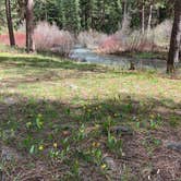 Review photo of Middle Fork by Judy T., May 25, 2021