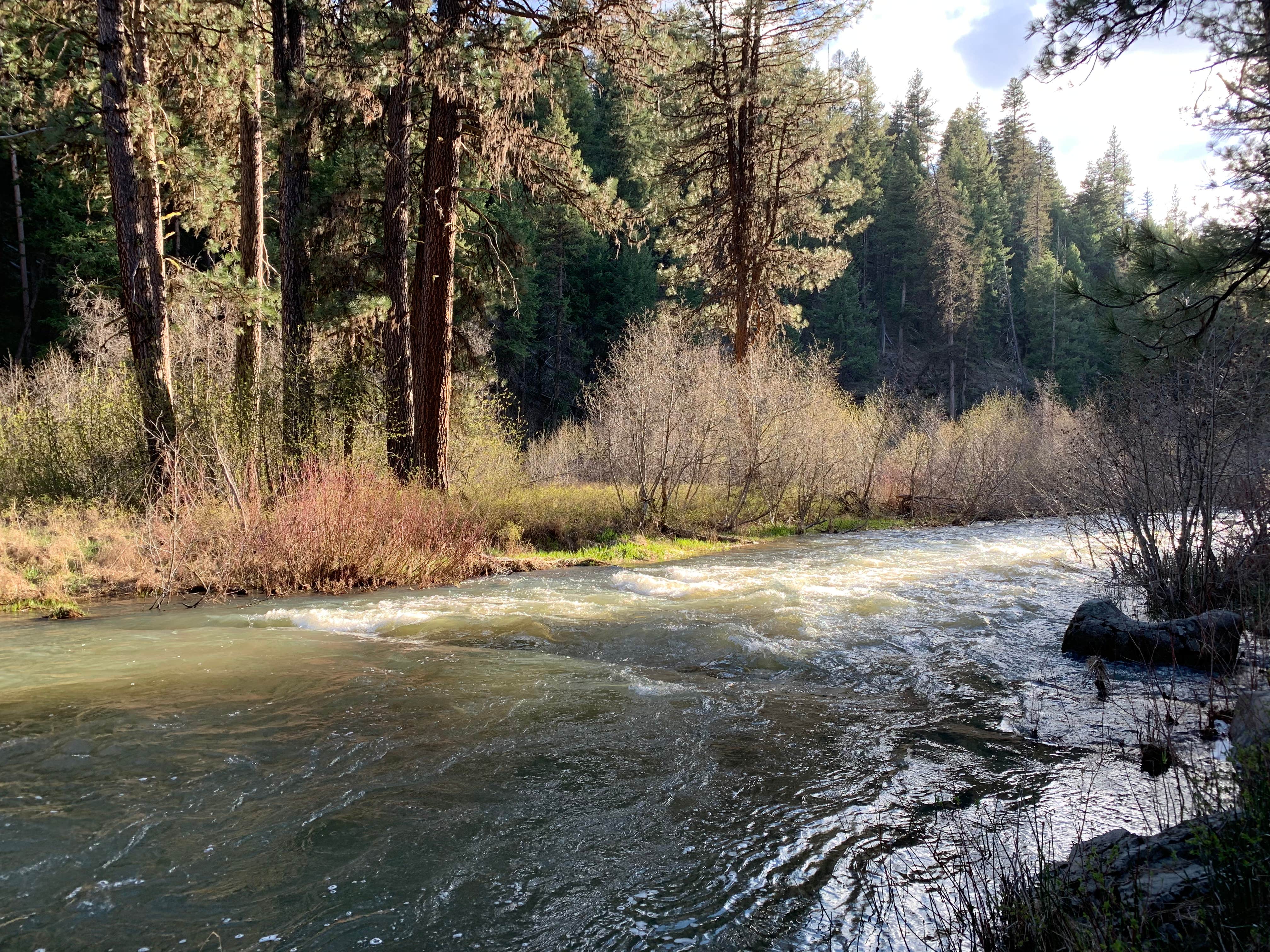 Camper-submitted photo at Middle Fork near Prairie City, OR