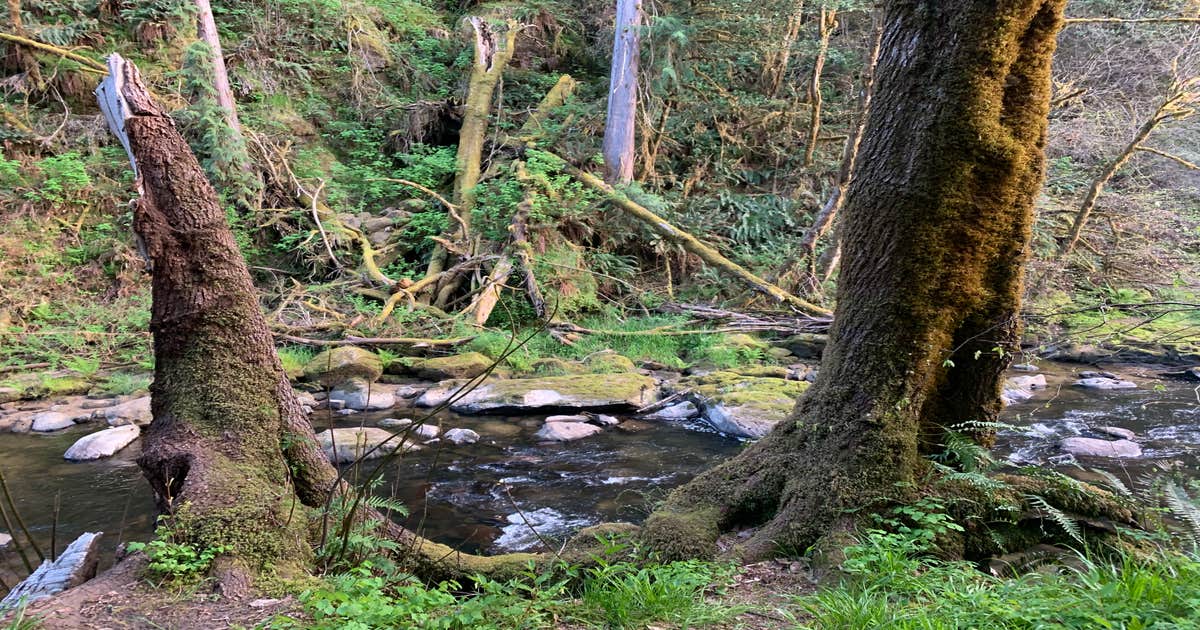 LaVerne County Park Camping Coquille, OR