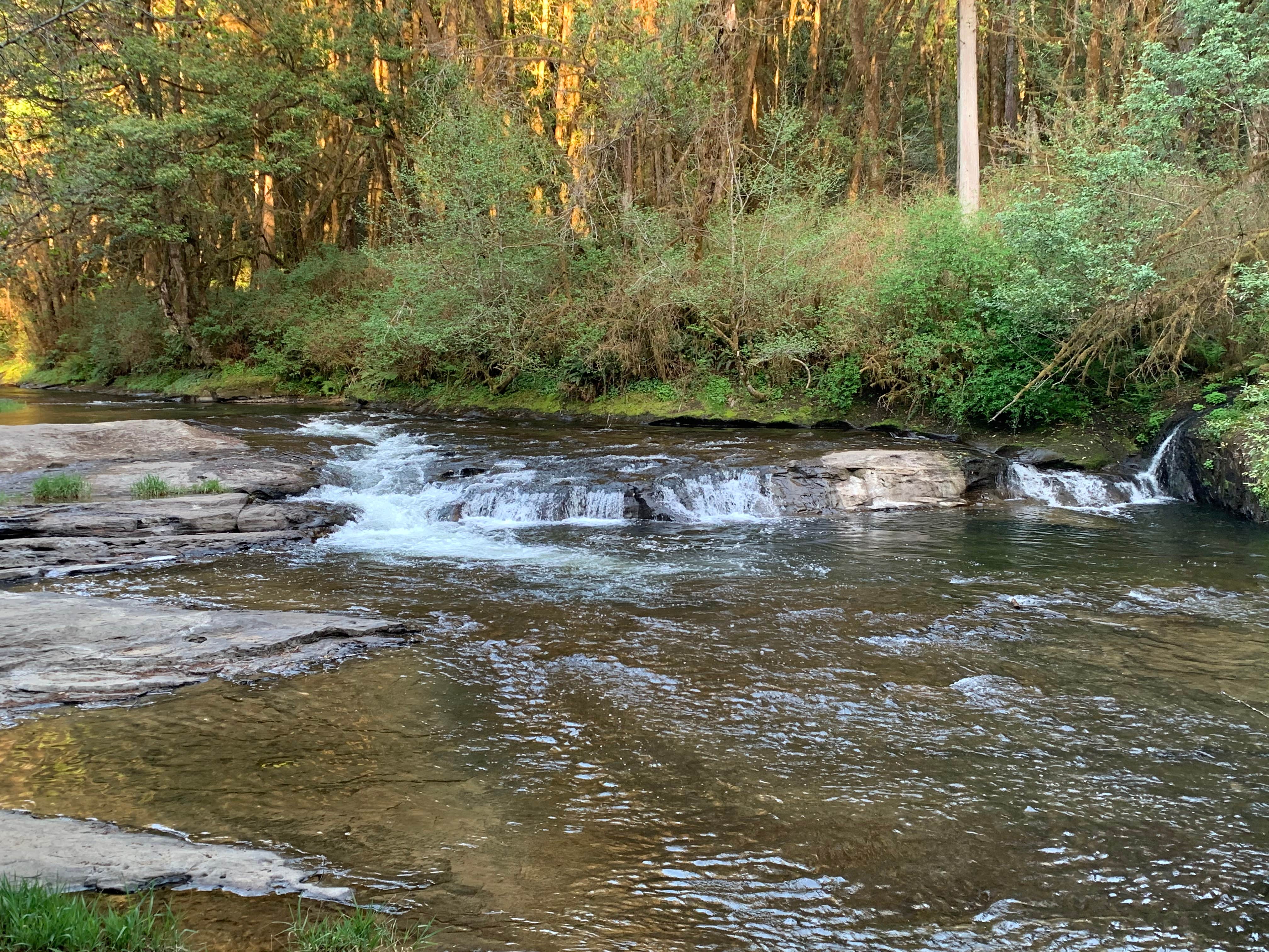 Camper submitted image from LaVerne County Park - 2