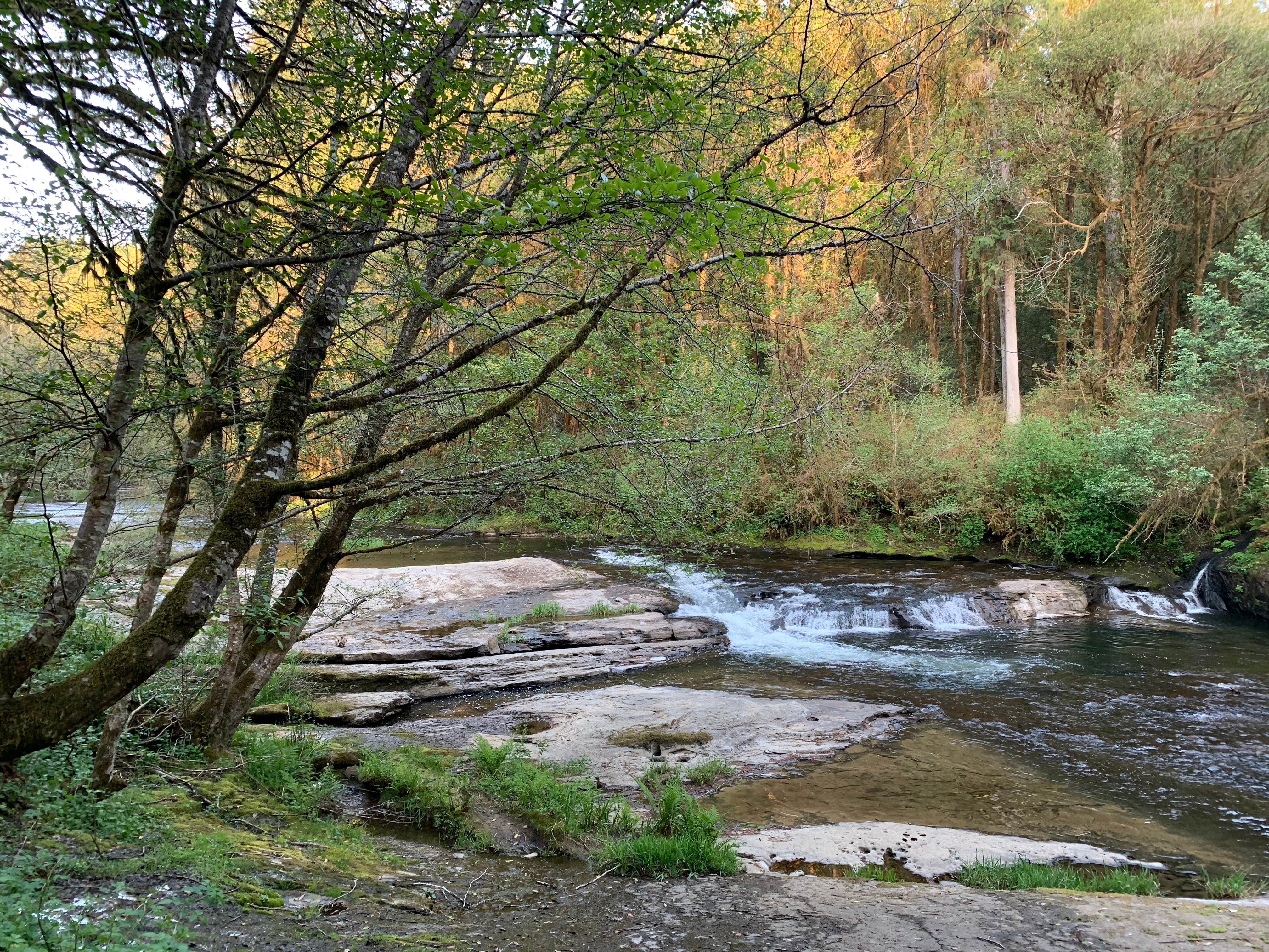 Camper-submitted photo at LaVerne County Park near Camas Valley, OR