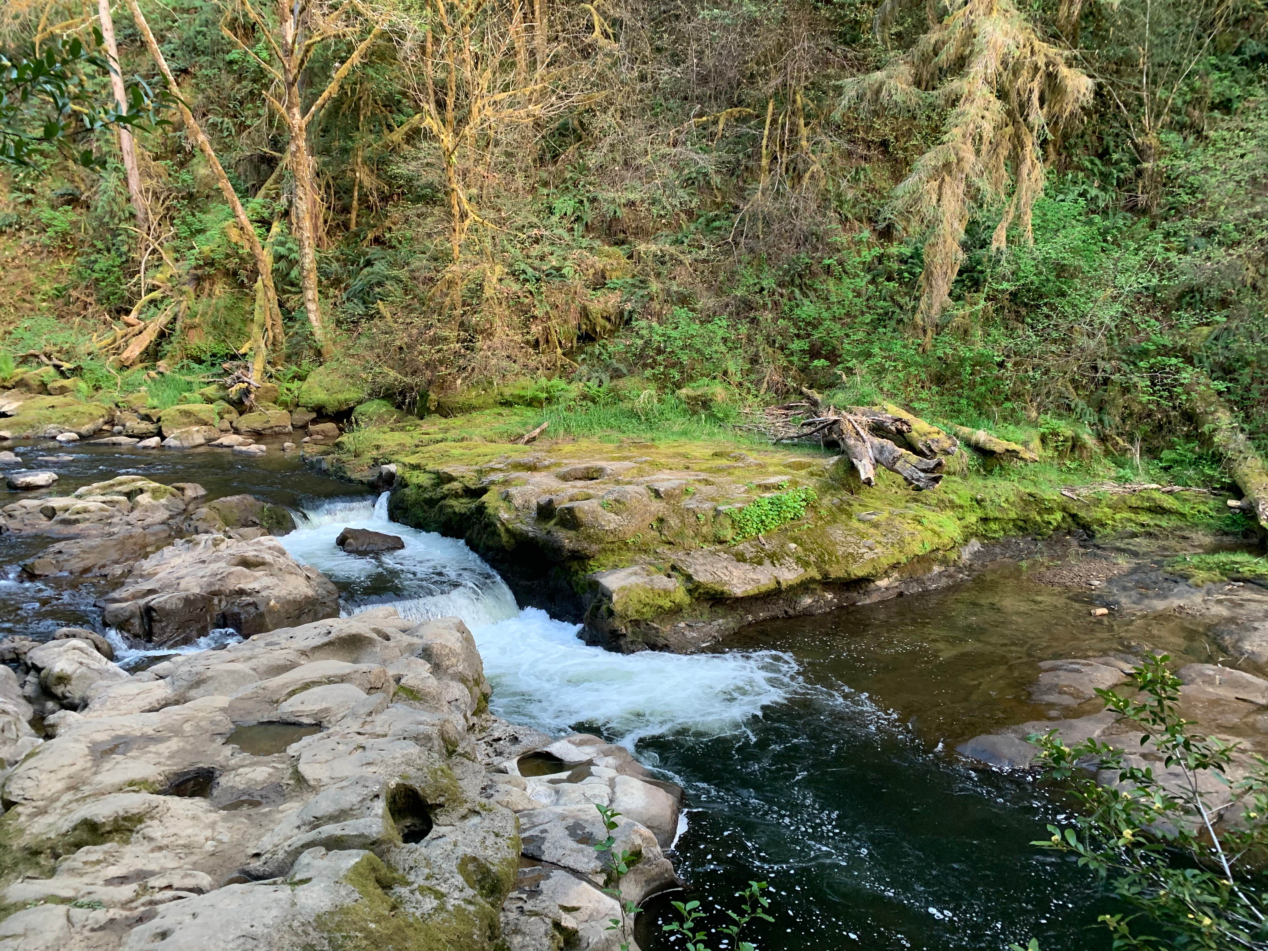 Camper-submitted photo at LaVerne County Park near Camas Valley, OR