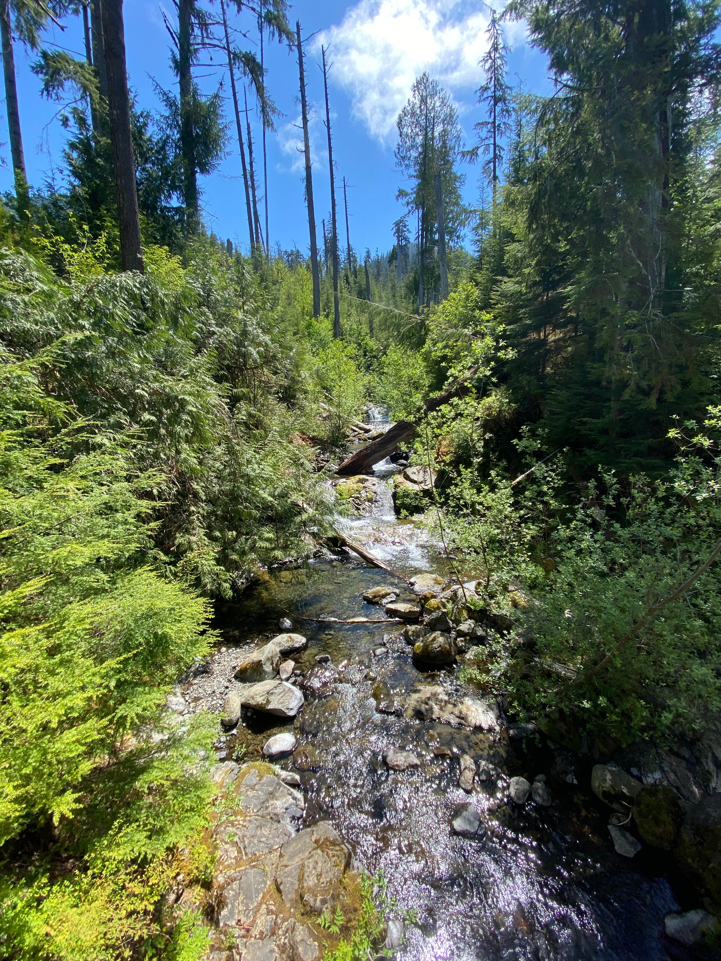 Camper-submitted photo at Rain Forest Resort Village near Olympic National Park
