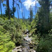 Review photo of Rain Forest Resort Village by L & K S., May 25, 2021