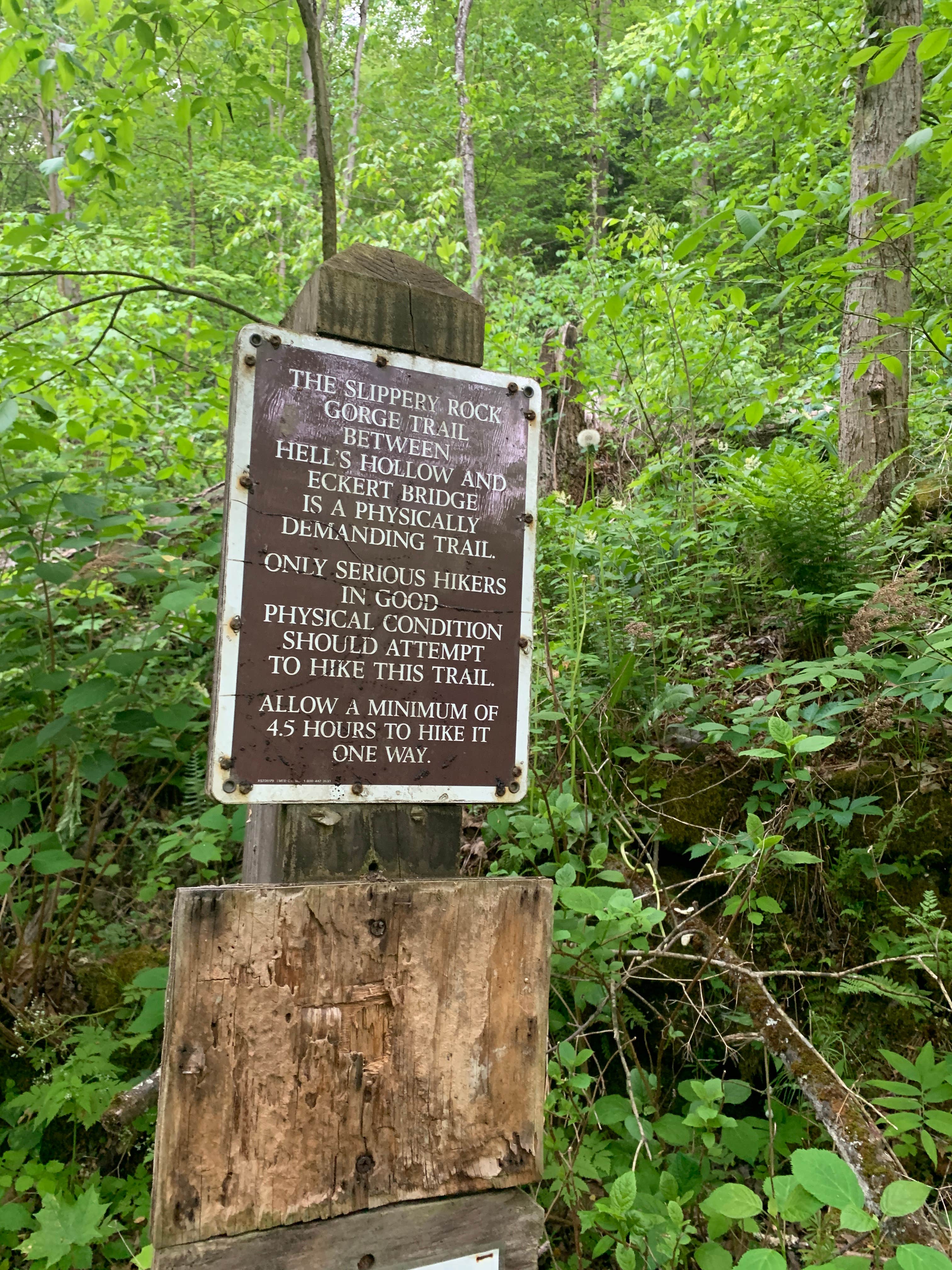 Camper submitted image from Breakneck Campground - 5