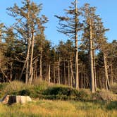 Review photo of Cape Lookout State Park Campground by Judy T., May 25, 2021