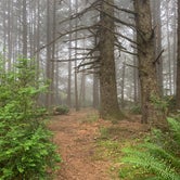 Review photo of Cape Blanco State Park Campground by Judy T., May 25, 2021