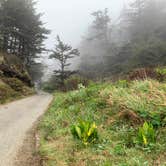 Review photo of Cape Blanco State Park Campground by Judy T., May 25, 2021