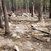 Review photo of Uwharrie National Forest by Terri F., May 25, 2021