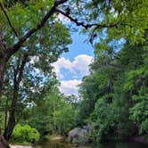 Review photo of Hog Island Recreation Area by Mina  G., May 17, 2021