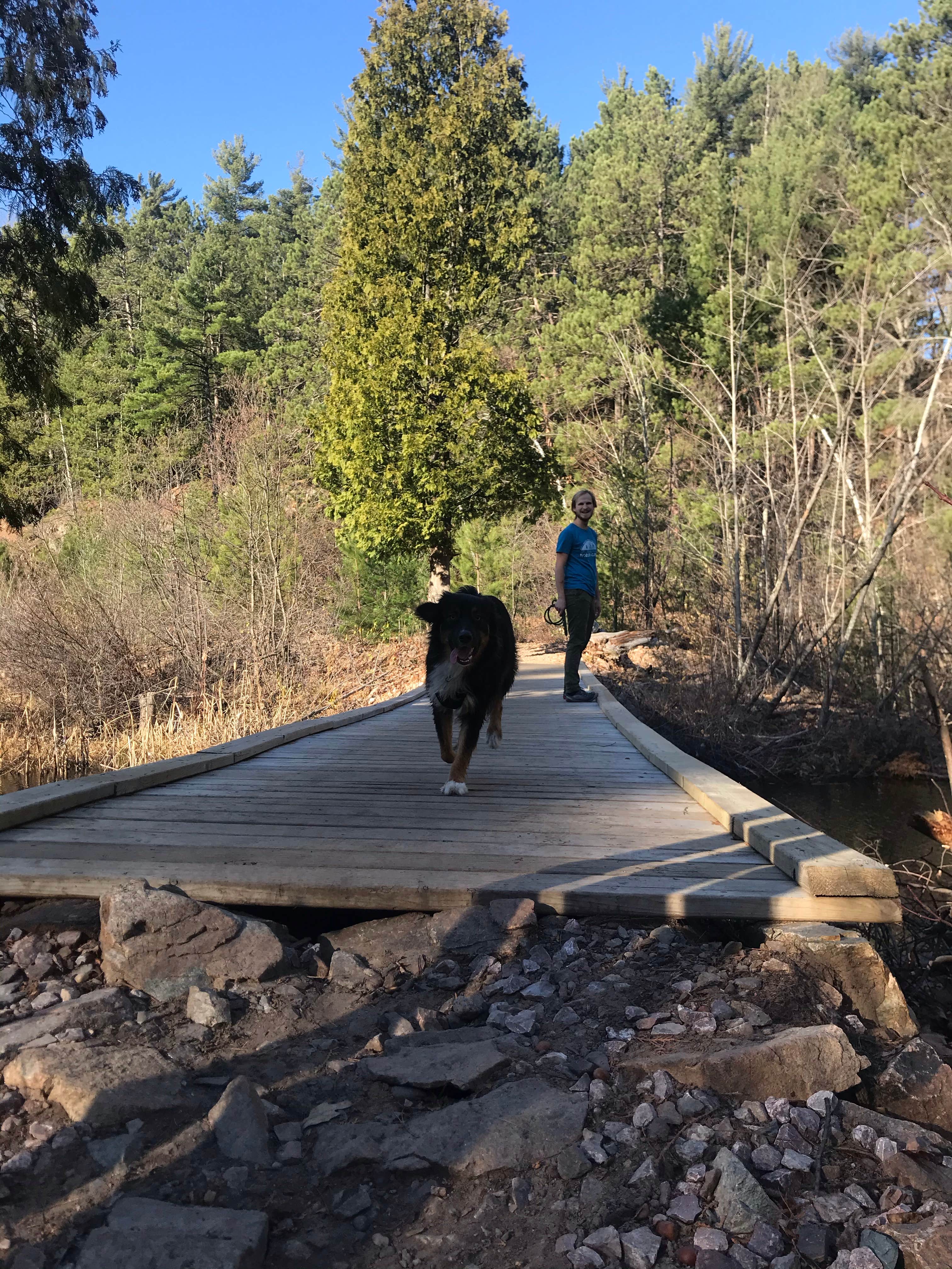 Emilee S.'s photo of camping with pets at Forestville Campground near Marquette, MI