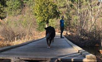 Emilee S.'s photo of camping with pets at Forestville Campground near Ishpeming, MI
