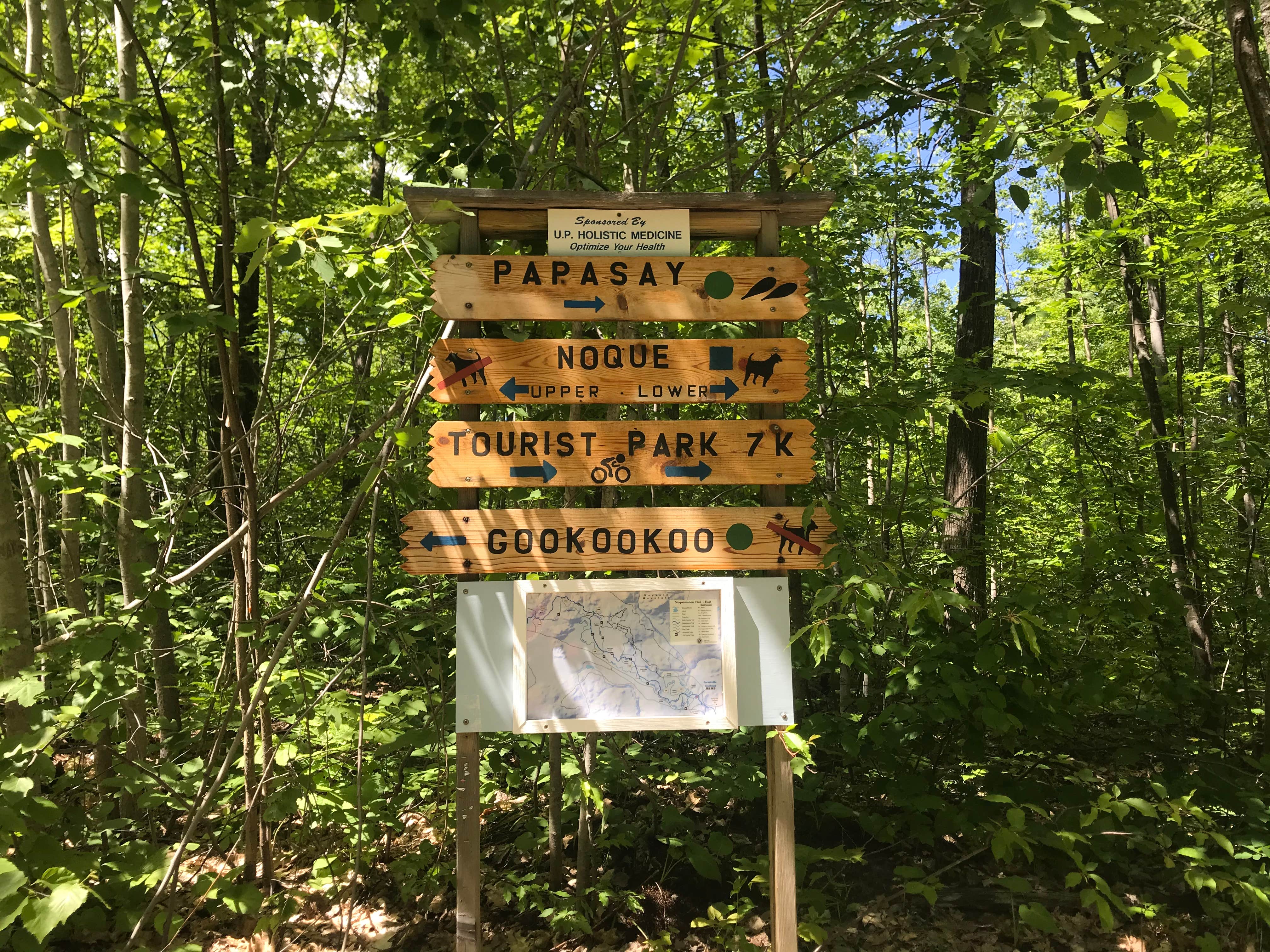 Camper submitted image from Forestville Campground - 4