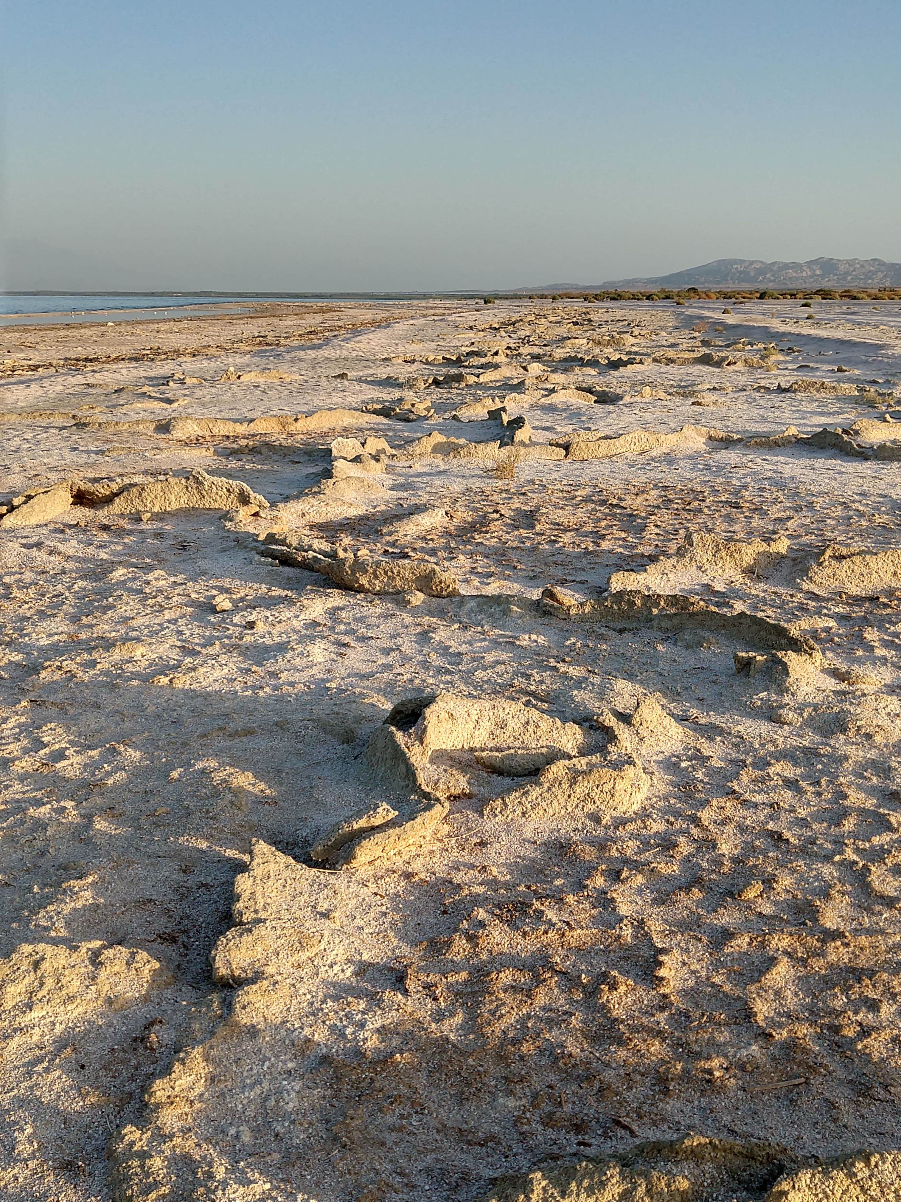 Mecca Beach Campground The Dyrt