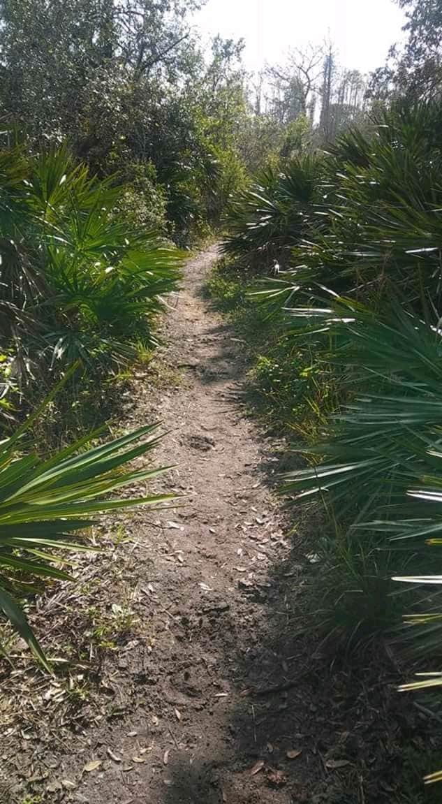 Camper-submitted photo at Starkey Wilderness Preserve — Serenova Tract near Lutz, FL