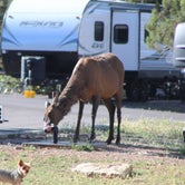 Review photo of Trailer Village RV Park — Grand Canyon National Park by Joel R., May 25, 2021