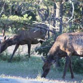 Review photo of Trailer Village RV Park — Grand Canyon National Park by Joel R., May 25, 2021