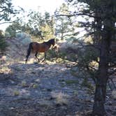Review photo of Trailer Village RV Park — Grand Canyon National Park by Joel R., May 25, 2021
