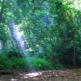 Review photo of Nelson-Kennedy Ledges Quarry Park by R E., May 25, 2021