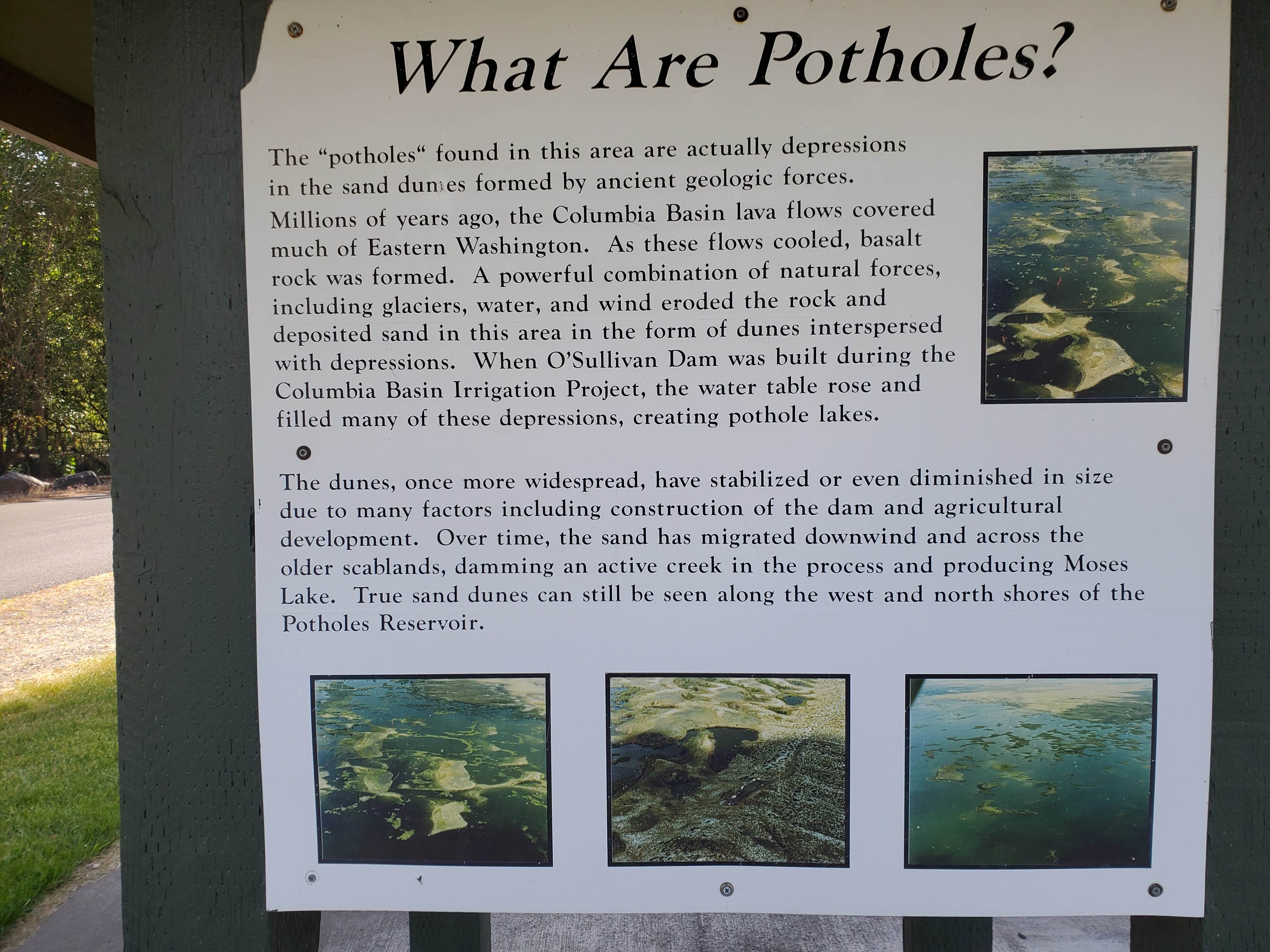 Camper submitted image from Potholes State Park Campground - 4