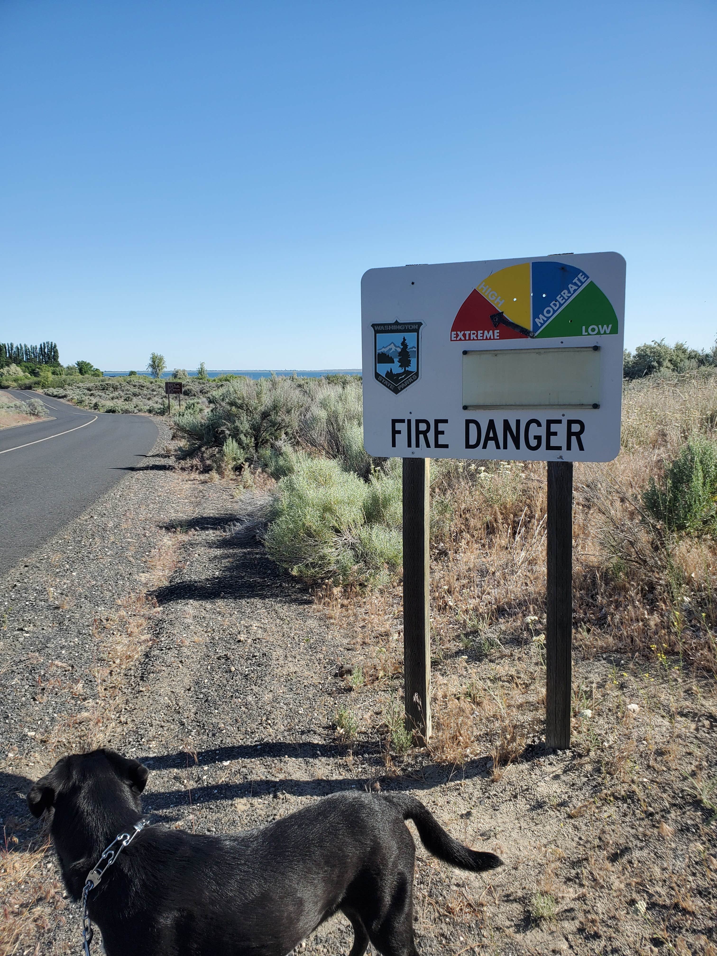 Agnes G.'s photo of camping with pets at Potholes State Park Campground near Richland, WA