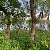 Review photo of Lake Elmo County Park Reserve by Kimberly L., May 25, 2021