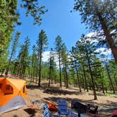 Review photo of Toiyabe National Forest Old Mill Campground by Cedric S., May 25, 2021