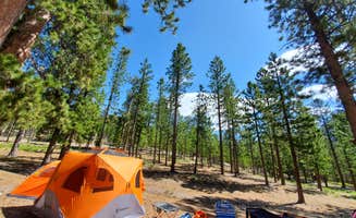 Cedric S.'s photo at Toiyabe National Forest Old Mill Campground near Tecopa, CA