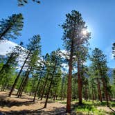 Review photo of Toiyabe National Forest Old Mill Campground by Cedric S., May 25, 2021