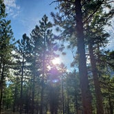 Review photo of Toiyabe National Forest Old Mill Campground by Cedric S., May 25, 2021