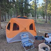 Review photo of Toiyabe National Forest Old Mill Campground by Cedric S., May 25, 2021