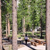 Review photo of Toiyabe National Forest Old Mill Campground by Cedric S., May 25, 2021