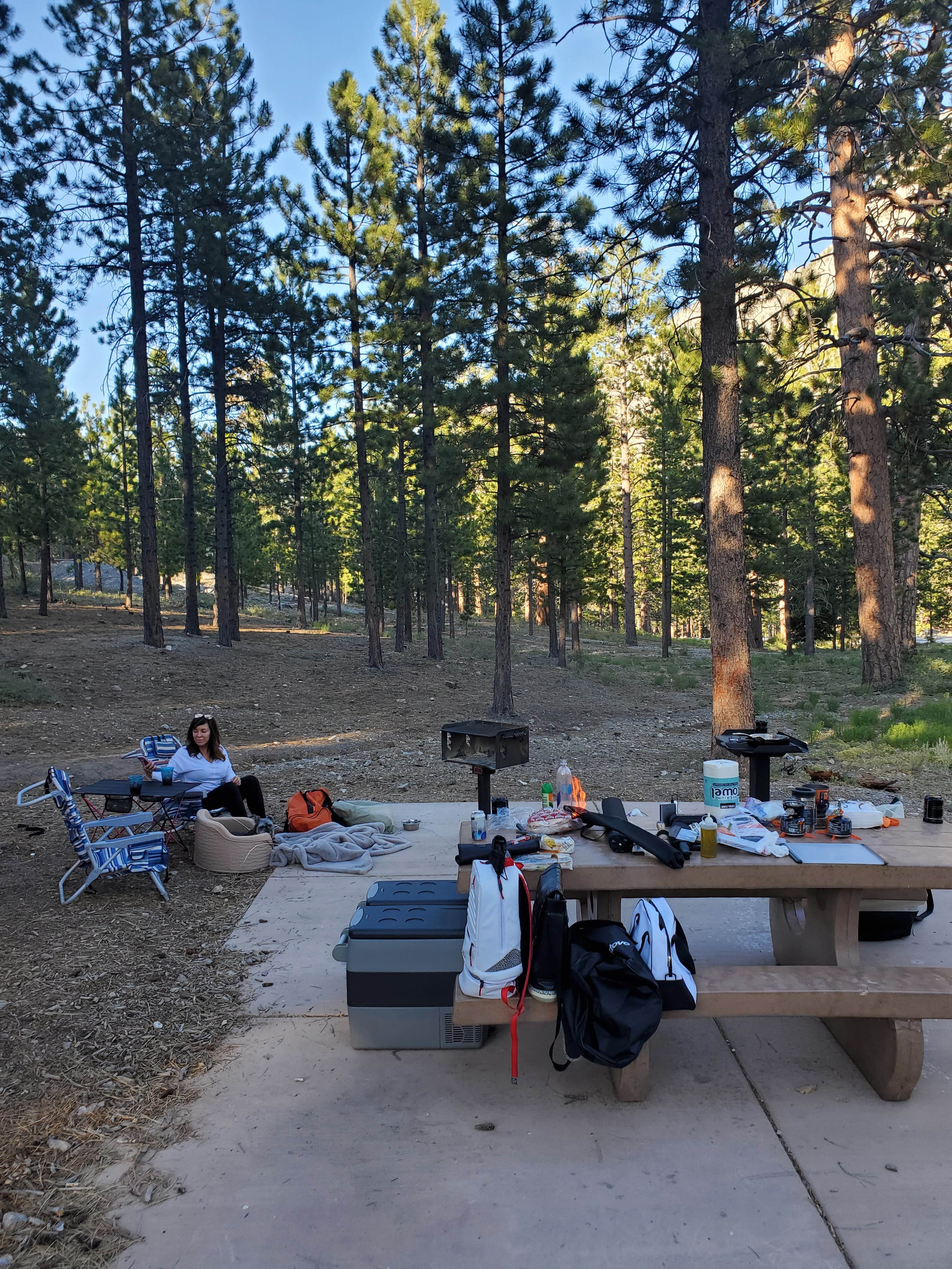 Cedric S.'s photo at Toiyabe National Forest Old Mill Campground in Nevada