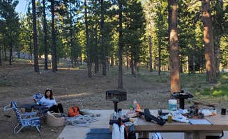 Cedric S.'s photo at Toiyabe National Forest Old Mill Campground in Nevada