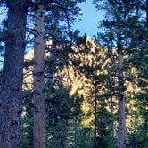 Review photo of Toiyabe National Forest Old Mill Campground by Cedric S., May 25, 2021