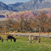 Review photo of Red Rock Canyon National Conservation Area - Red Rock Campground by Cedric S., May 25, 2021